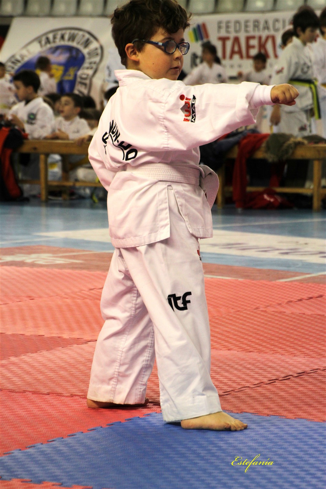 Taekwondo (100).jpg